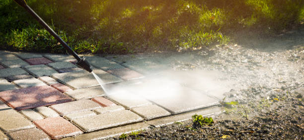 Animal Enclosure Cleaning in Cedar Creek, TX
